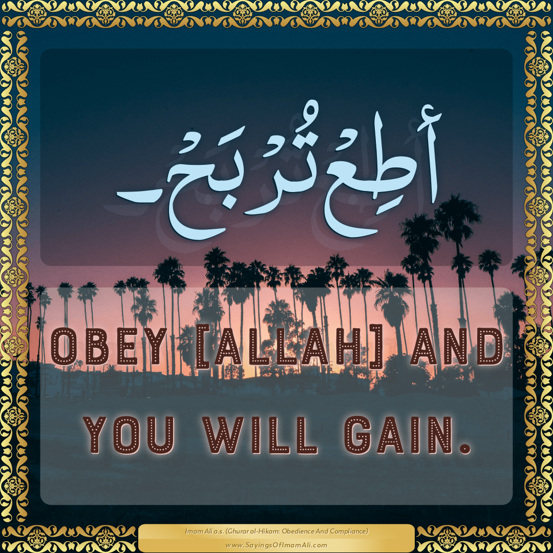 Obey [Allah] and you will gain.